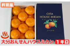 大分おんせんハウスミカン 約1kg（化粧箱入）＜132-021＞
