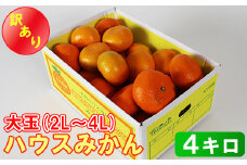 【訳あり・大玉】ハウスみかん約4kg（バラ詰め）※サイズ2L～4L混合 温州ミカン 6月 7月 8月 ハウスみかん フルーツ 先行予約 九州 大分 杵築 ＜132-015＞