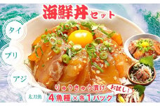 りゅうきゅう4種(真鯛・ぶり・真あじ・太刀魚)[お試し各1食セット] 海鮮丼 漬け丼 大分郷土料理 豊後絆屋 ふるさと納税 魚 冷凍 加工品 惣菜 おすすめ おいしい 刺身 詰め合わせ おせち セット 産地直送 国産 大分県 海鮮 漬け 真空パック 小分け 惣菜 JAL機内食 人気 鯛 タイ たい 鰤 ブリ ぶり 鯵 アジ あじ 太刀魚 タチウオ たちうお ＜101-032＞