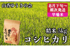 【 8月下旬発送開始 令和7年産 新米 先行予約 】山香ゆうきの会の米 5kg（精米：コシヒカリ） 新米 5kg 米 早場米 8月 9月 先行予約 先行受付 ＜002-021＞