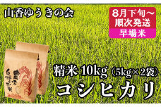 【 8月下旬発送開始 令和7年産 新米 】山香ゆうきの会の米 10kg（精米：コシヒカリ） 新米 10kg 米 早場米 8月 9月 ＜002-022＞