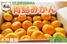 高糖系温州みかん 木戸農園の青島 約5kg （秀品） 先行予約 柑橘類 フルーツ 1月 2月 ＜113-019＞