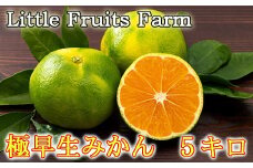 【訳あり品】リトルフルーツファームの極早生みかん 約5kg ／ ミカン みかん 蜜柑 柑橘類 訳あり先行予約 10月 5kg 温州みかん 極早生 数量限定 フルーツ ＜116-012＞