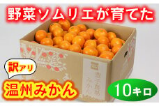 【訳あり・規格外品】野菜ソムリエ石児さんの「温州みかん 10kg」 ミカン みかん 蜜柑 柑橘 10kg 柑橘類 訳あり 甘い 温州みかん フルーツ ＜103-005＞