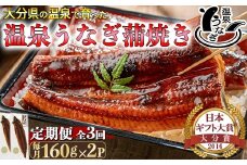 ＜定期便(毎月)全3回＞温泉うなぎ蒲焼 2尾（160gサイズ） ＜104-802＞