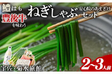 ねぎしゃぶセット＋安心院のあまざけ(7品)ねぎしゃぶ しゃぶしゃぶ おおいた和牛 鱧 はも 鍋 お鍋 うどん付き 甘酒 あまざけ 飲む点滴 セット【101500401】【菊水旅館】