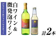 白ワイン ＆ 微発泡デラウェア＆シャインマスカット(合計1.05L・2本)ワイン 白ワイン 酒 お酒 甘口 甘口ワイン アルコール 微発泡 デラウェア ぶどう 葡萄 安心院産 飲み比べ セット【100800801】【百笑一喜】