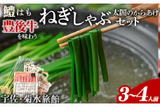 ねぎしゃぶ＋太閤からあげ(7品)ねぎしゃぶ しゃぶしゃぶ おおいた和牛 鱧 はも 鍋 お鍋 唐揚げ からあげ セット【101500501】【菊水旅館】