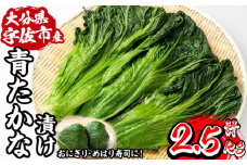 自家農園栽培 青たかな漬け(2.5kg)たかな 高菜 ちりめん高菜 漬物 漬け物 ご飯のお供 おにぎり 自家農園 大分県産【103200100】【松本漬物】