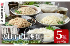 天日干し長洲麺詰合せ(合計40袋・5種)そうめん ひやむぎ うどん そば はったい麺 麺類 詰合せ 手軽 簡単調理 常温 大分県産【101401300】【四井製麺工場】