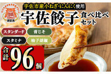 味深屋の宇佐餃子よりどりセット(合計8袋・5種)餃子 ぎょうざ 簡単 惣菜 おかず おつまみ 簡単調理 焼くだけ 食べ比べ セット【104200100】【ＮＰＯ法人 結び恵会】