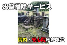 お墓掃除サービス(宇佐市院内、安心院内限定)掃除 清掃 代行 お墓 地域限定【107200100】【NPO法人　スポーツクラブグレートサラマンダー】