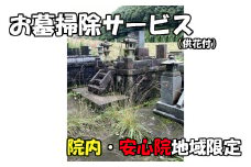 お墓掃除サービス(供花付 宇佐市院内・安心院内限定)掃除 清掃 代行 お墓 地域限定【107200300】【NPO法人　スポーツクラブグレートサラマンダー】