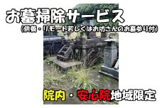 お墓掃除サービス(供養・リモート若しくはお坊さんのお墓参り付 宇佐市院内・安心院内限定)掃除 供養 清掃 代行 お墓 地域限定【107200400】【NPO法人　スポーツクラブグレートサラマンダー】