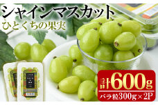 ひとくちの果実 シャインマスカット(計600g・300g×2パック)国産 ぶどう 葡萄 フルーツ 果物 くだもの 果実【100702300】【宮田ファミリーぶどう園】