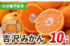 ＜先行予約受付中！2025年11月中旬から順次発送予定＞吉沢みかん(約10kg)みかん ミカン 蜜柑 柑橘 フルーツ 果物 くだもの 果実【108600101】【フルーツランド桐畑】