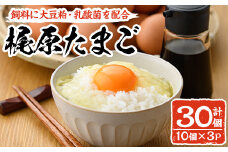 梶原たまご(計30個・10個×3P) 卵 玉子 鶏卵 卵かけご飯 玉子焼き【108800100】【カジワラファーム】
