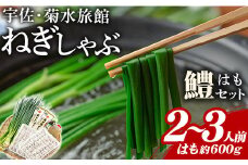 ねぎしゃぶ(鱧はも)セット(5品)ねぎしゃぶ しゃぶしゃぶ 鱧 はも 鍋 お鍋 うどん付き セット【101500201】【菊水旅館】
