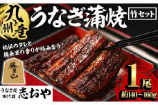 うなぎ処 四代目 志おや 九州産うなぎ 蒲焼(竹・1本)うなぎ 鰻 ウナギ 国産 九州産 蒲焼き うな重 ひつまぶし タレ付き 勝負めし 【109400101】【志おや】