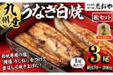 うなぎ処 四代目 志おや 九州産うなぎ 白焼(松・3本)うなぎ 鰻 ウナギ 国産 九州産 白焼き 調味料付き 勝負めし【109400401】【志おや】