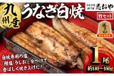 うなぎ処 四代目 志おや 九州産うなぎ 白焼(竹・1本)うなぎ 鰻 ウナギ 国産 九州産 白焼き 調味料付き 勝負めし【109400301】【志おや】