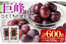 ひとくちの果実 巨峰(計600g・300g×2パック)国産 ぶどう 葡萄 フルーツ 果物 くだもの 果実【100702200】【宮田ファミリーぶどう園】