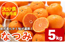なつみ(約5kg)ハウス 樹成 完熟 みかん 蜜柑 柑橘 かんきつ フルーツ 果物 くだもの【111600200】【永木農園】