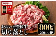 【期間限定 和牛生ハム1P付】おおいた豊後牛切り落とし(計800g・200g×4P)牛肉 お肉 豊後牛 小分け【112100550】【ミートクレスト】