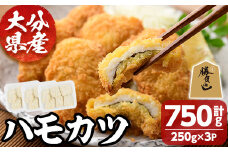 ハモカツ(計750g・250g×3P) 鱧 はも 冷凍 惣菜 カツ 揚げるだけ フライ おかず 勝負めし 【101900600】【上野水産】
