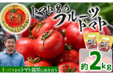 ＜先行予約受付中！2025年3月下旬から順次発送予定＞フルーツトマト(2kg)トマト 野菜 期間限定 数量限定【110000200】【ひろしま農園】