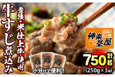 豊後米仕上げ牛 牛すじ煮込み(計750g・250g×3パック)牛肉 お肉 おかず おつまみ 小分け 簡単調理 時短 冷凍 惣菜【111100201】【神楽茶屋】