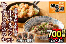 豊後米仕上げ牛牛すじ煮込み＋牛ホルモン炒めセット(合計700g・3パック)牛肉 お肉 小腸 おかず おつまみ 小分け 簡単調理 時短 惣菜【111100301】【神楽茶屋】