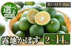 ＜内容量が選べる＞＜先行予約受付中！2025年8月上旬～2026年2月下旬ごろ順次発送予定＞露地カボス(約2～14kg) かぼす カボス 柑橘 特産品 大分県産【107100101】【あいはな農園】