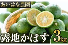 ＜先行予約受付中！2025年8月上旬～2026年2月下旬ごろ順次発送予定＞露地カボス(約3kg)かぼす カボス 柑橘 特産品 大分県産【107100201】【あいはな農園】