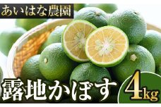 ＜先行予約受付中！2025年8月上旬～2026年2月下旬ごろ順次発送予定＞露地カボス(約4kg)かぼす カボス 柑橘 特産品 大分県産【107100301】【あいはな農園】