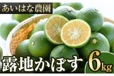 ＜先行予約受付中！2025年8月上旬～2026年2月下旬ごろ順次発送予定＞露地カボス(約6kg)かぼす カボス 柑橘 特産品 大分県産【107100501】【あいはな農園】