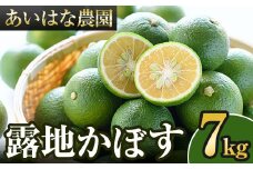 ＜先行予約受付中！2025年8月上旬～2026年2月下旬ごろ順次発送予定＞露地カボス(約7kg)かぼす カボス 柑橘 特産品 大分県産【107100601】【あいはな農園】