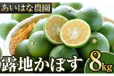 ＜先行予約受付中！2025年8月上旬～2026年2月下旬ごろ順次発送予定＞露地カボス(約8kg)かぼす カボス 柑橘 特産品 大分県産【107100701】【あいはな農園】