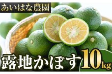 ＜先行予約受付中！2025年8月上旬～2026年2月下旬ごろ順次発送予定＞露地カボス(約10kg)かぼす カボス 柑橘 特産品 大分県産【107100801】【あいはな農園】