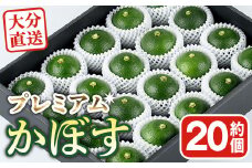 ＜先行予約受付中！2025年8月下旬から順次発送予定＞おもとの丘のプレミアムかぼす(20～24個)かんきつ 柑橘 期間限定 【111300500】【未来農林】
