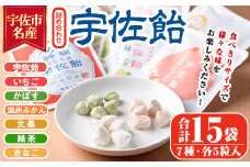 宇佐飴 詰め合わせ(15袋)あめ お菓子 おかし おやつ 苺 いちご かぼす 温州みかん しょうが 生姜 緑茶 きなこ きな粉【112800500】【岡部商事】