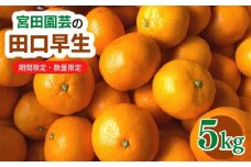 ＜先行予約受付中！2025年12月上旬から順次発送予定＞田口早生(5kg)みかん 蜜柑 フルーツ 果物 くだもの 柑橘 期間限定【112300101】【宮田園芸】