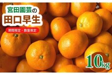 ＜先行予約受付中！2025年12月上旬から順次発送予定＞田口早生(10kg)みかん 蜜柑 フルーツ 果物 くだもの 柑橘 期間限定【112300201】【宮田園芸】
