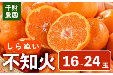 ＜先行予約受付中！2026年4月中旬より順次発送予定＞千財農園不知火(L～4L・16玉～24玉)みかん ミカン 蜜柑 しらぬい 柑橘 フルーツ 果物 くだもの 果実【109000301】【千財農園】