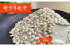 ＜先行予約受付中！2025年８月下旬以降順次発送予定＞大分県産もち麦 キラリモチ(計5kg)ダイエット 健康 業務用【112400601】【天峯ファーム】