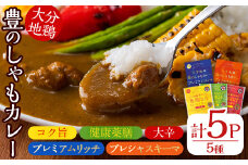 大分地鶏豊のしゃも地鶏出汁スパイスカレー5種セット(合計870g・5パック)チキンカレー 鶏肉 鳥肉 とり肉 地鶏 胸肉 ムネ肉 レトルト 簡単調理【112400401】【天峯ファーム】