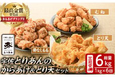 ＜定期便・全6回(連続)＞＜からあげグランプリ最高金賞＞宇佐 とりあんのからあげ・大分名物鶏天セット(総量6kg・合計1kg×6回)から揚げ からあげ 鶏天 とり天 簡単 冷凍 惣菜 お弁当 おかず おつまみ 名物 セット【203500500】【BOROYA】
