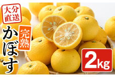 ＜先行予約受付中！2025年11月中旬より順次発送予定＞完熟かぼす(約2kg)かんきつ 柑橘 期間限定 おもとの丘【111300300】【未来農林】
