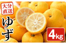 ＜先行予約受付中！2025年11月中旬から順次発送予定＞柚子(約4kg)かんきつ 柑橘 期間限定 おもとの丘【111300701】【未来農林】