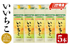 いいちこ 20度 パック(計9L・1.8L×5本)酒 お酒 むぎ焼酎 1800ml 麦焼酎 常温 いいちこ 三和酒類 紙パック【107303300】【時枝酒店】